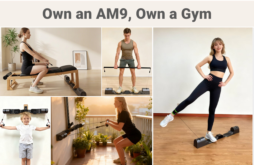 AM9 Professional Home Gym Fitn - Home Gym Leg Extension 评论和价格