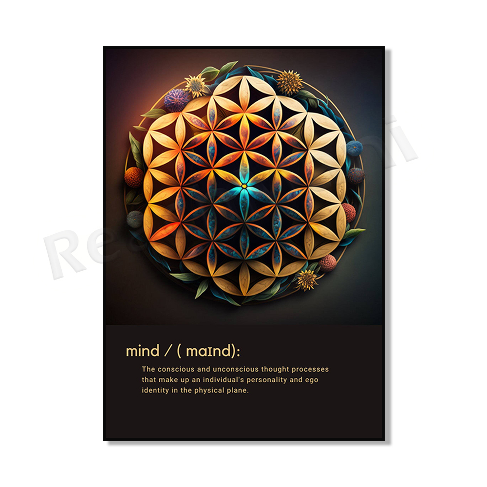Mind Body Spirit - Colorful Mo - Home Gym Zen 评论和价格