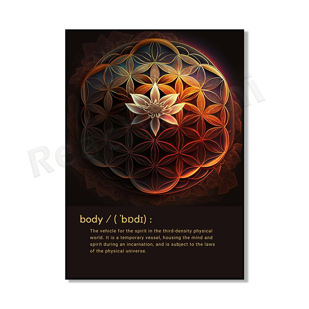 Mind Body Spirit - Colorful Mo - Home Gym Zen 评论和价格