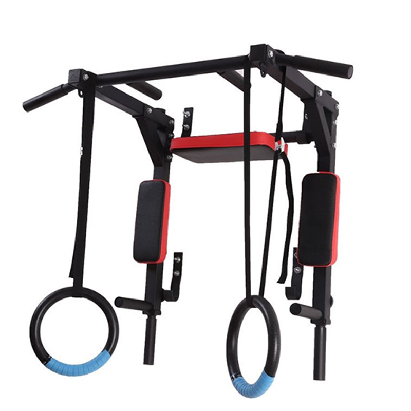 Heavy Duty Wall Mounted Parall - Home Gym Pull Up 评论和价格