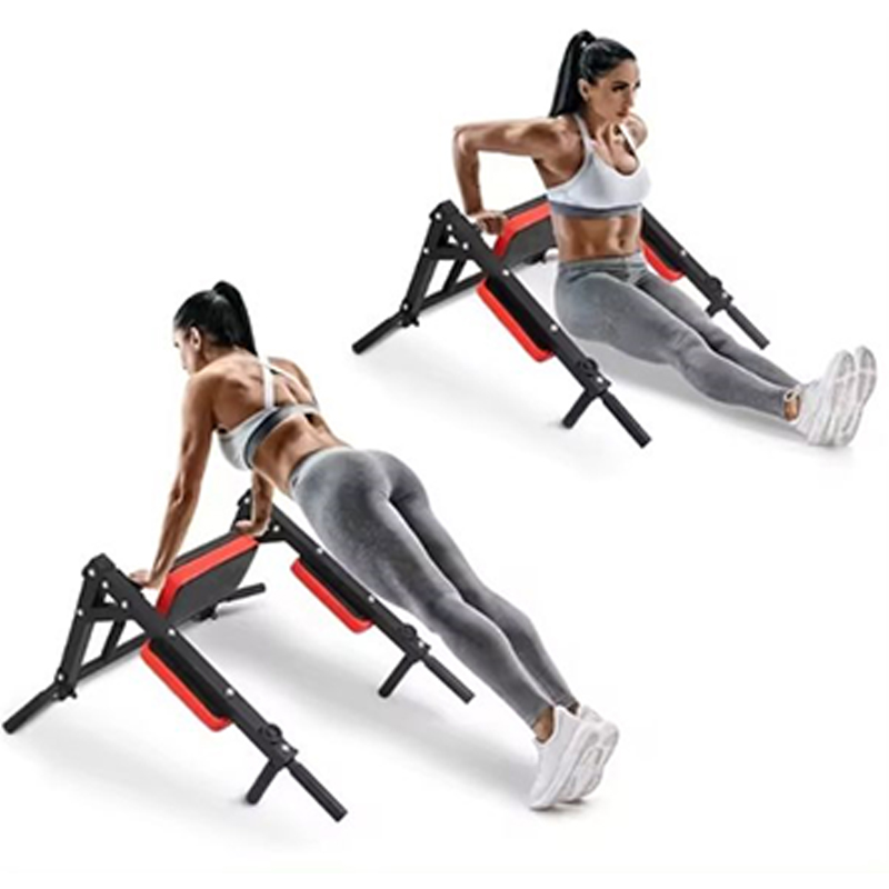 Heavy Duty Wall Mounted Parall - Home Gym Pull Up 评论和价格
