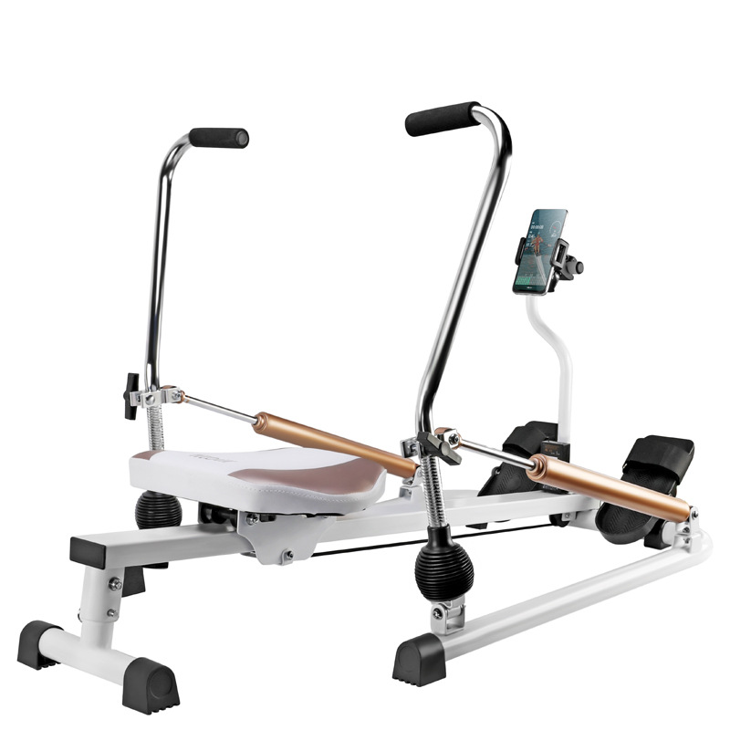Quiet Smooth Magnetic Rowing M - Home Gym In Apartment 评论和价格
